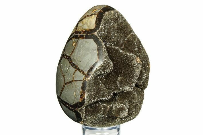 Septarian Dragon Egg Geode - Sparkly Black Crystals #308841